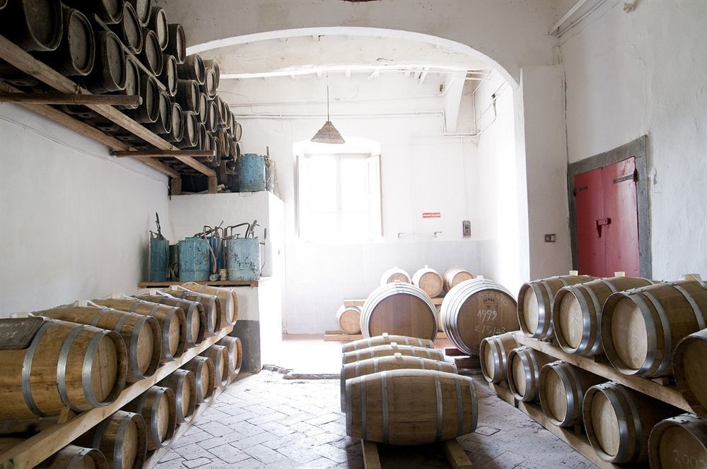 Fattoria Di Bacchereto - Guest House Exterior photo